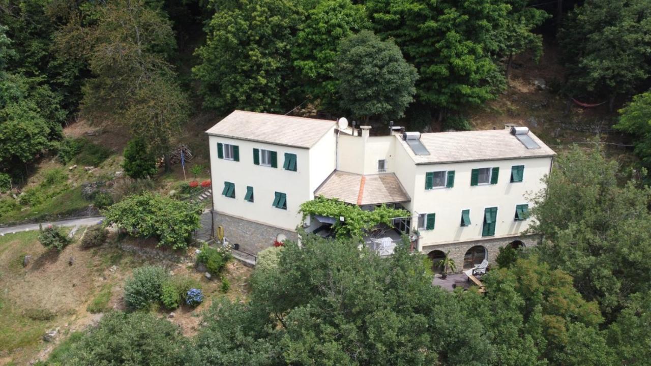 Villa Maia Neirone Dış mekan fotoğraf